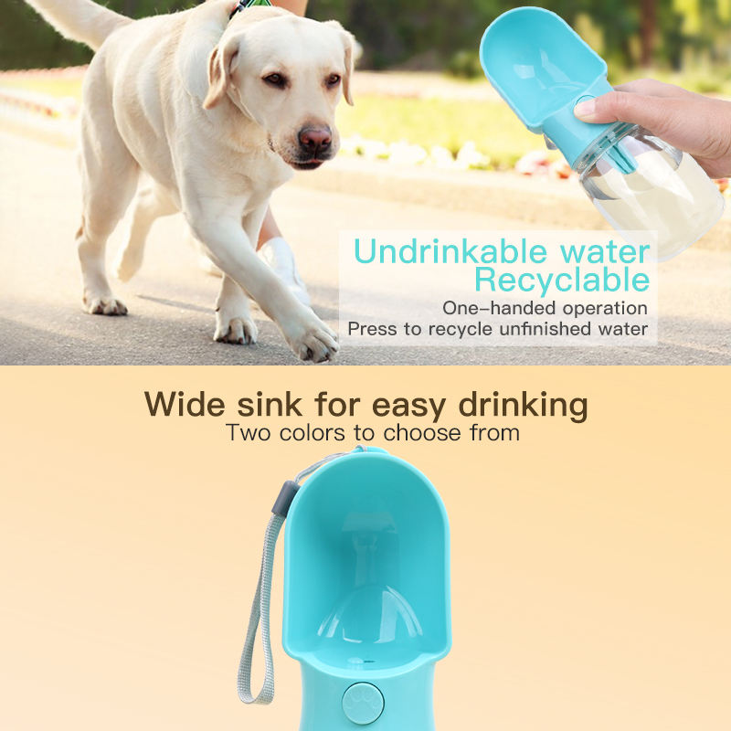 Owner walking a Labrador on a leash while holding the Trailbowl bottle one-handed